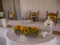 /album/eskuvoi-kepek1/p1070679-jpg/